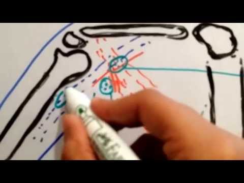 how to drain lymph nodes in breast