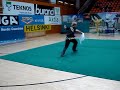 Antti Kupiainen's daoshu at the VIII International Wushu Championships in Helsinki, Finland in 2008