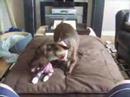 Zoey, I like the way you move