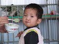 LWB Nutrition Program video