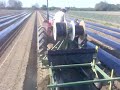 Agregat pentru formarea biloanelor Tehnologia de cultivare: Agregat pentru formarea biloanelor