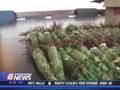 Khat