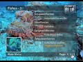 Menu of Tropical Marine Life | DVD Film-Encyclopedia
