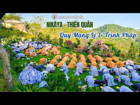 NIKAYA Thiền Quán - Quy Mạng Lễ & Trình Pháp