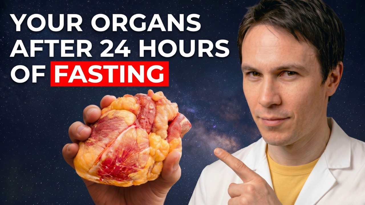 What Happens to Your Organs If You Fast for 24 Hours? (Science Explained)