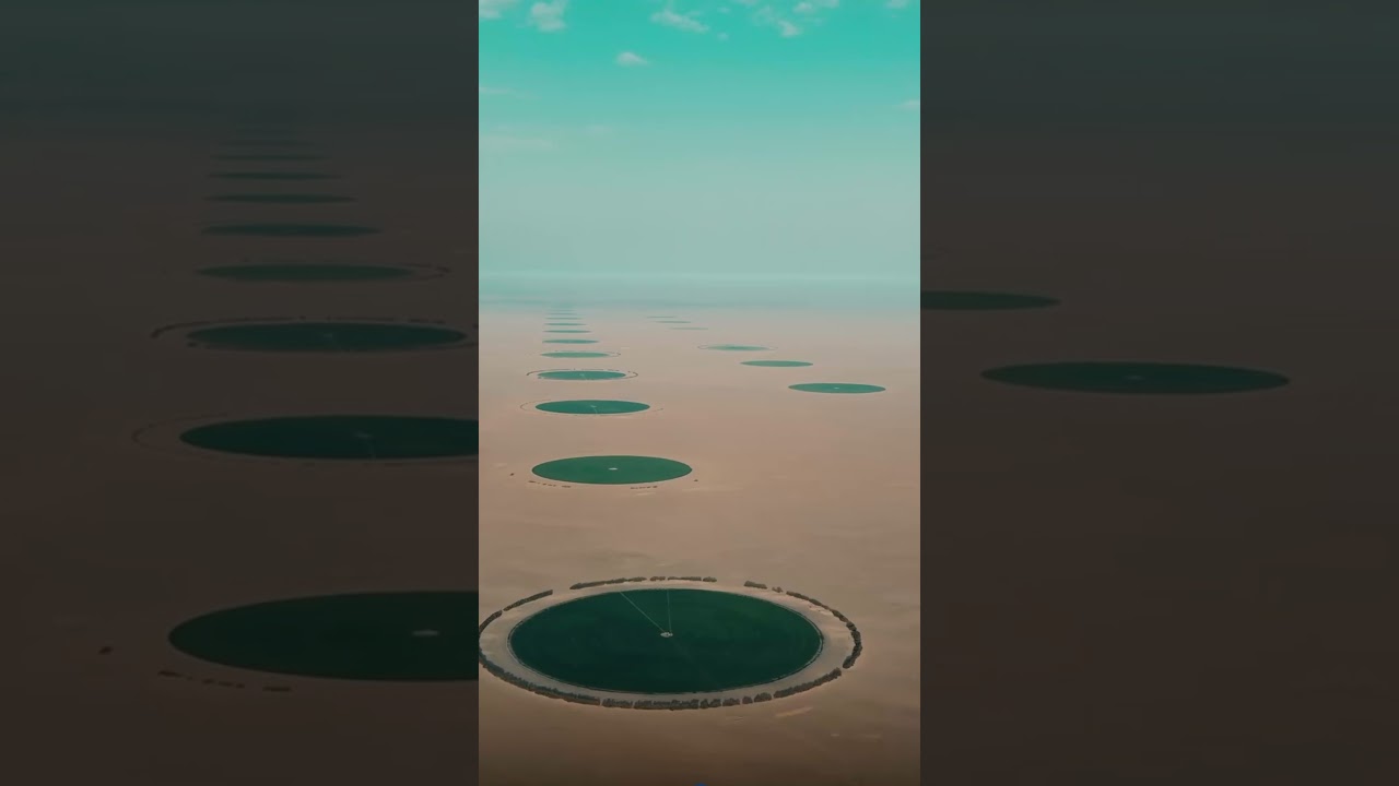 Transformando o deserto