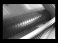photographic fruitions