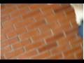MolineteTV3 OVM[NTSC DV 8sec]