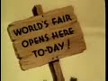 All's Fair at the Fair