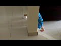 08112009012.mp4
