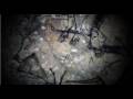 Neanderthal Museum Trailer