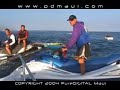 MAUI JAWS : BIG WAVE SURFING