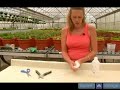Overgrown Houseplant Solutions : Tools for House Plants Overgrown Houseplant Solutions : Tools for House Plants