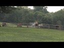 Inside Information - Native Dancer / Sagamore Farm