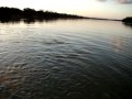 MOV01006