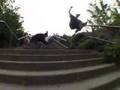 Vicktor Vaughn - Saliva Nottingham Edit