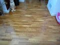 SAN FRANCISCO, CA. WOOD SPECIE: ENGINEERED WALNUT SAN FRANCISCO, CA. WOOD SPECIE: ENGINEERED WALNUT