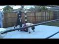 videos de Sebastian Knight vs Zachariot for #1 Contendership