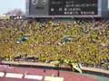Kashiwa Baka Ichidai @National Stadium