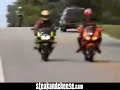 speedy speedy