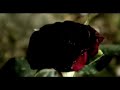 clip Diva Scarlet vuoi clip Diva Scarlet vuoi