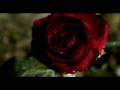 clip Diva Scarlet vuoi