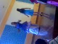 Sarau. +.+.3gp