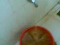 DSC000000.3gp