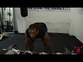 Romanian Deadlift - Quick Look