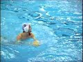pallanuoto dinamica