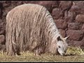 Peru - Sacred Valley of the Incas