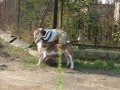 videos de MOJA ŁICZ