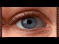 cornelius & kouichirou tsujikawa -eyes