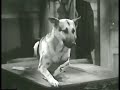 b movie with dwight frye. joe rescues young fred (jackie cooper) with the help of rin tin tin... yeah dwight gets thwarted by a dog.