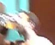 Jared Hasselhoff Pulling Chris Burney With His Penis