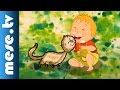 Download Halász Judit Tíz Kicsi Cica Gyerekdal Animáció Mese Mp3 Song