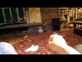 videos de Pepe the Real  PWD