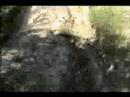 Jackass Geep Ridin song1