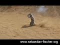 RC-Car Action - FG Monster Marder Hpi Savage