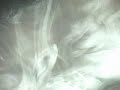 peter-gabriel-games-without-frontiers-1993-multicam-aud.html
