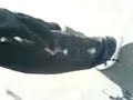 dog cummed on his leg dog cummed on his leg