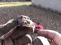 Metal Detecting America 1840\ Metal Detecting America 1840\