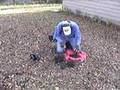 Metal-Detecting-Amer