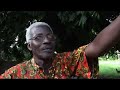 Witness - Casamance, the King\ Witness - Casamance, the King\