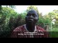  Witness - Casamance, the King's Festival - Part 1 Witness - Casamance, the King's Festival - Part 1 
  Ritual revived to bring back harmony to African community.