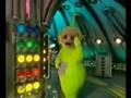 Raving Teletubbies!