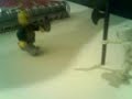 batalla sin sentido batalla sin sentido