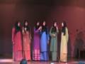MPI IPBMM 2008 -Shifa\