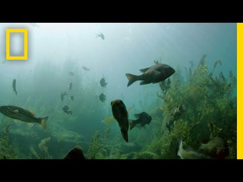 Exploring Ancient Springs in Texas