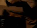 videos de get silly